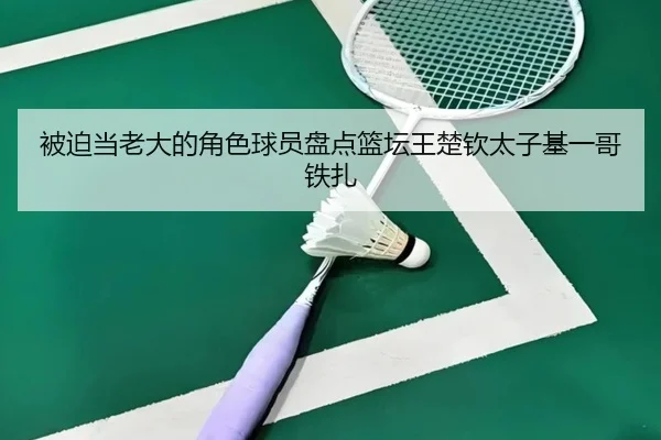 被迫当老大的角色球员盘点篮坛王楚钦太子基一哥铁扎 - bandao