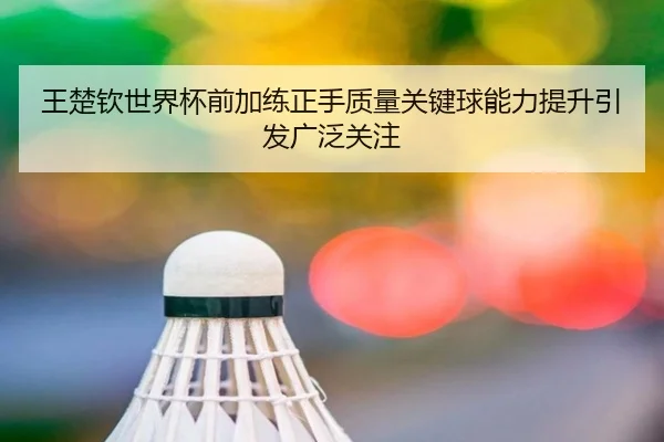 王楚钦世界杯前加练正手质量关键球能力提升引发广泛关注（bandao）